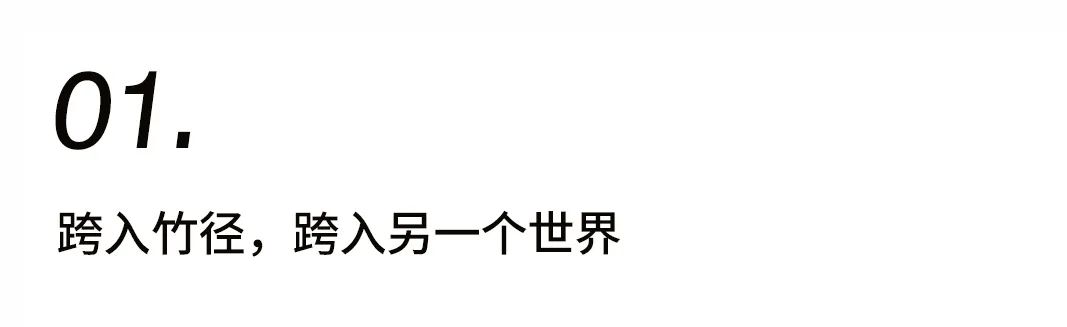 窺見中國(guó)院落一角插圖2 窺見中國(guó)院落一角插圖2