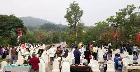 “漢唐杯”生活茶席設(shè)計(jì)比賽佳作頻出，完美落幕插圖